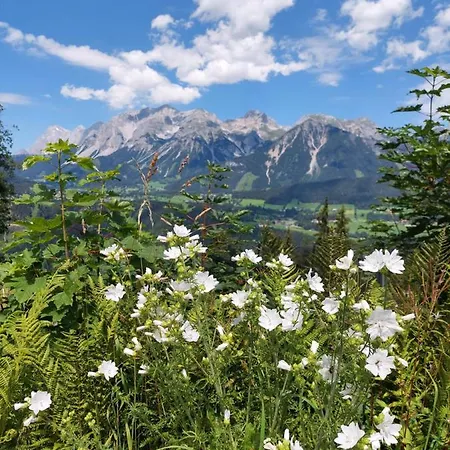 Schroeckerhof Otel Schladming