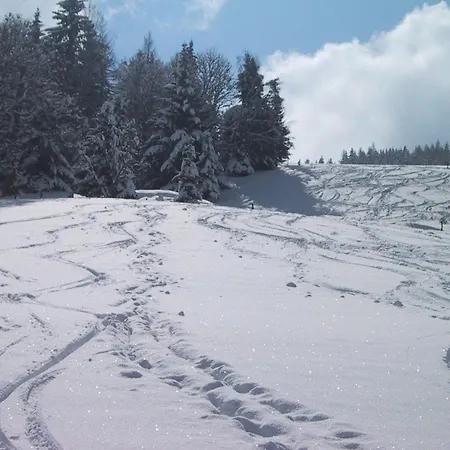 Hotel Schröckerhof Schladming