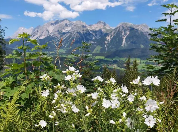 Schroeckerhof Hotel Schladming