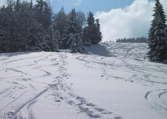 מלון Schroeckerhof שלאדמינג